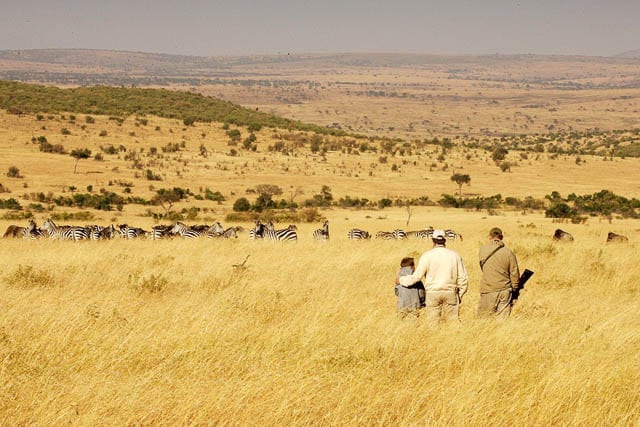 Elephants in Shaba National Reserve