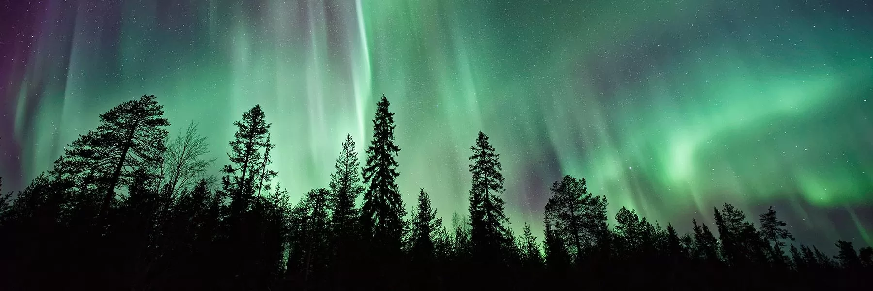 Finnish Laplands Northern Lights	