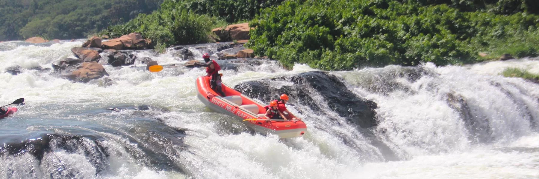 Gorilla, Wildlife & River Nile Rafting