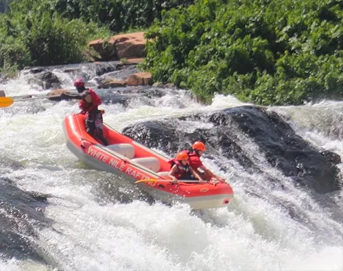 Gorilla, Wildlife & River Nile Rafting tour