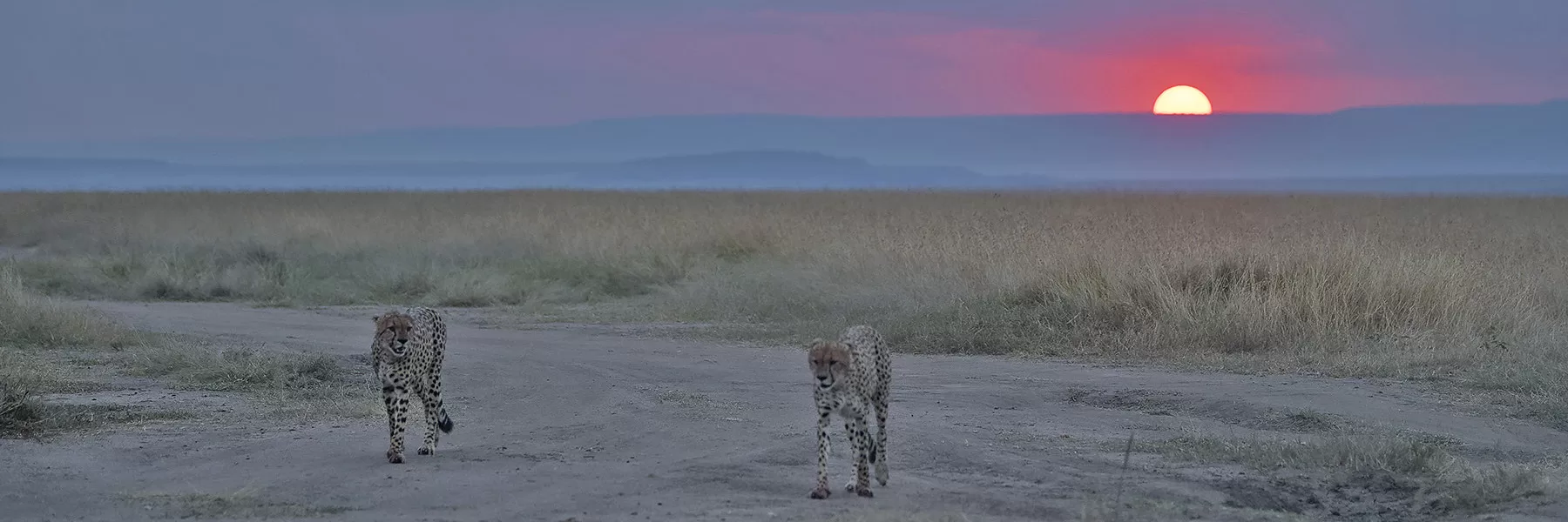 Wilderness Safaris Kenya