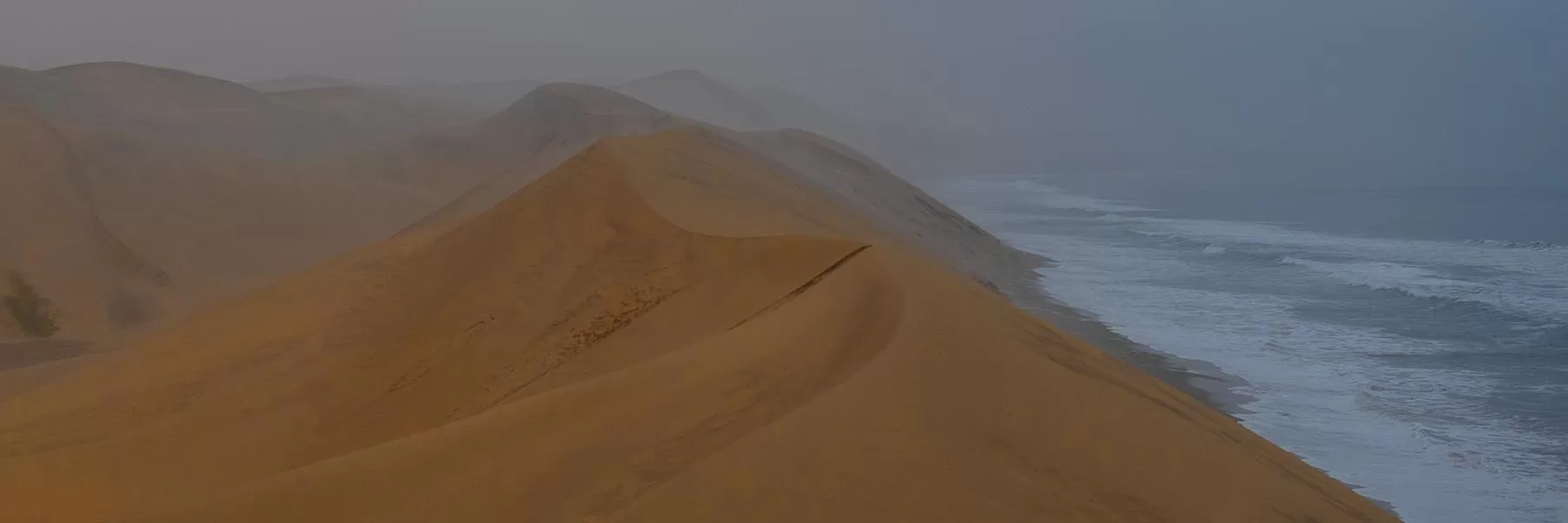 Desert Meets Ocean