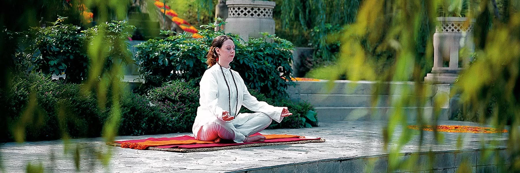 India Wellness & Luxury Train
