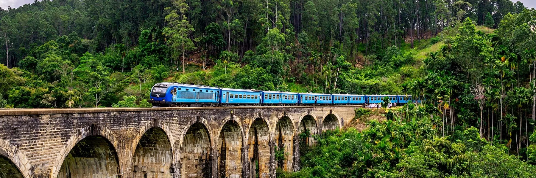  Sri Lanka Scenic Tour