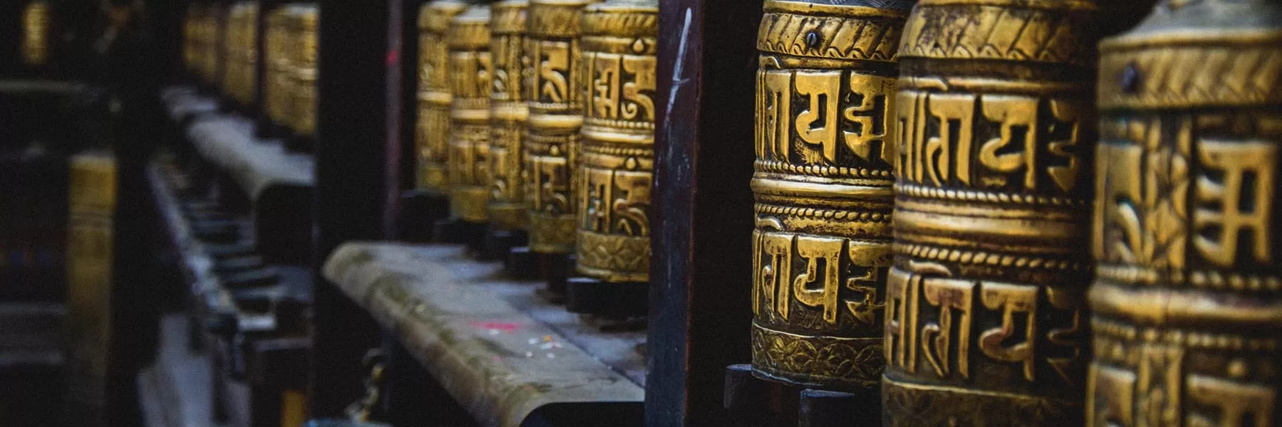  India Buddha Trail