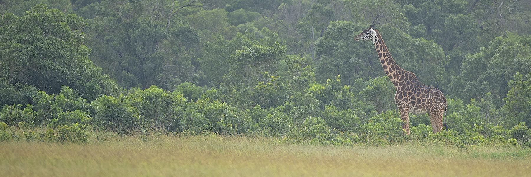 Cape Town & Kruger National Park