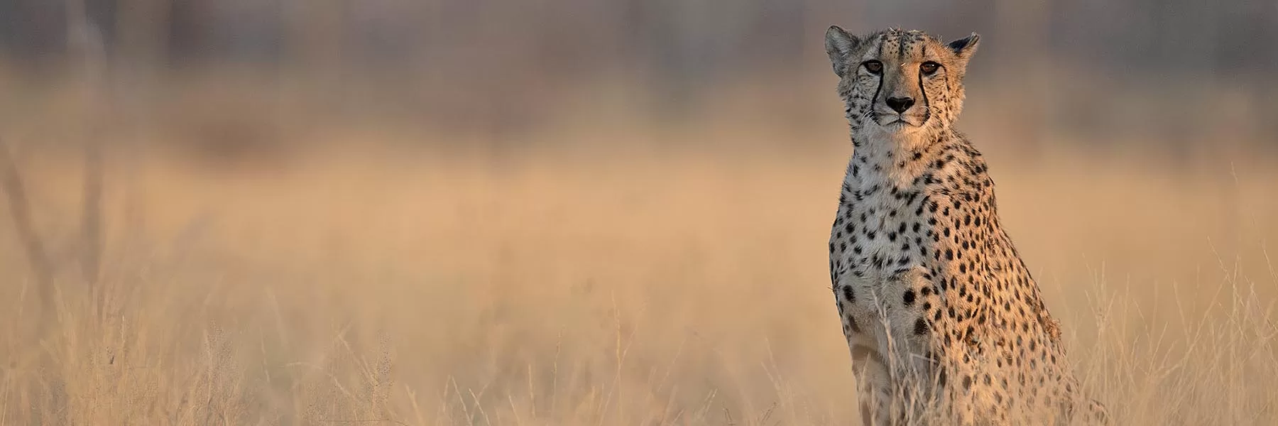  Classic Kruger Park safari