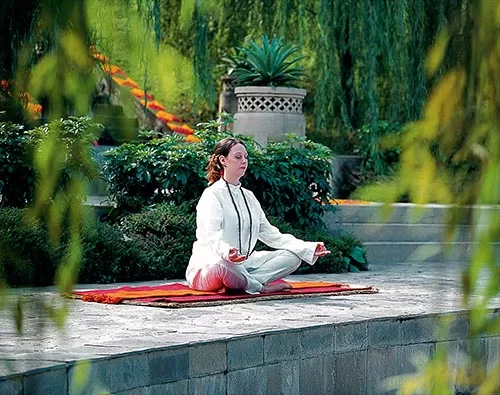 India Wellness & Luxury Train tour