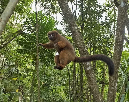 Southern Madagascar tour