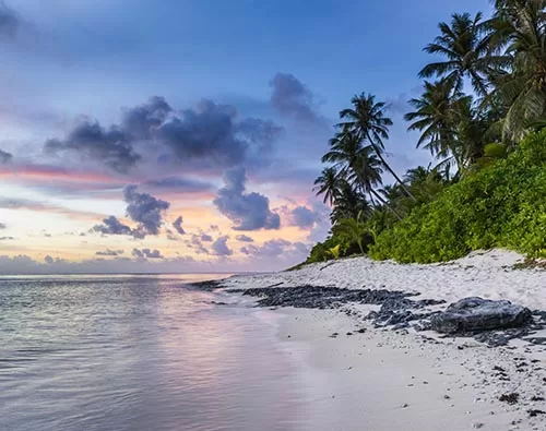 Rainforest & Beaches of North Madagascar tour