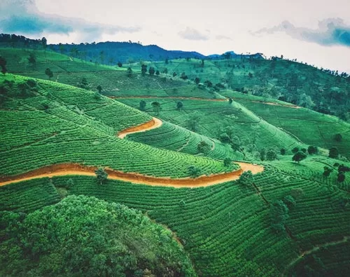  Sri Lanka Scenic Tour tour
