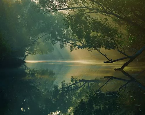 Sundarbans Wildlife tour
