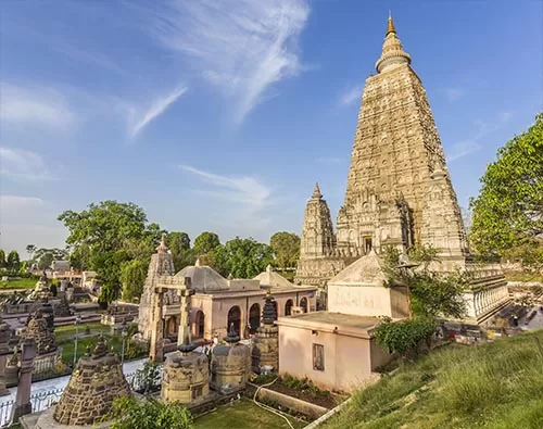  India Buddha Trail  tour