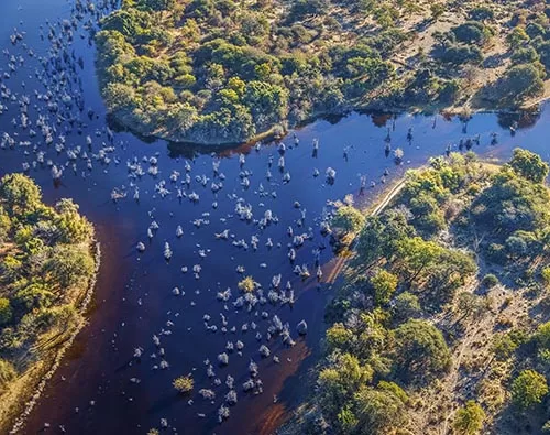  Best of Botswana tour