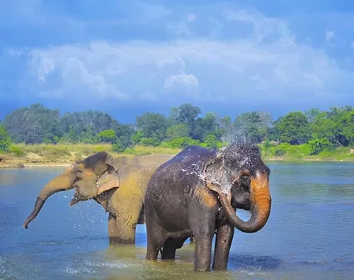  Classic Nepal with Wildlife tour